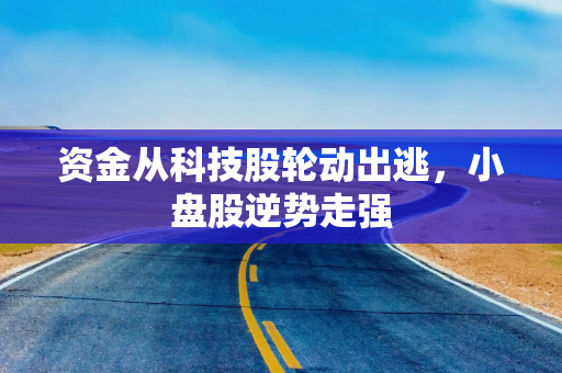 资金从科技股轮动出逃，小盘股逆势走强