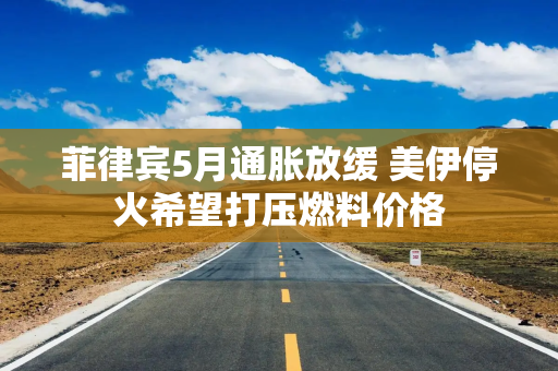 菲律宾5月通胀放缓 美伊停火希望打压燃料价格