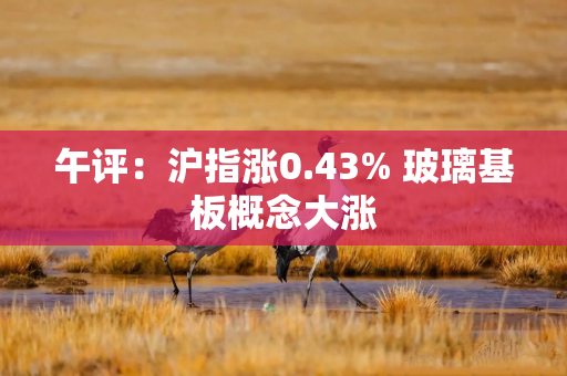 午评：沪指涨0.43% 玻璃基板概念大涨