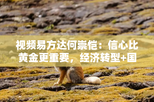 视频易方达何崇恺：信心比黄金更重要，经济转型+国运昌盛，会带来很大超额回报