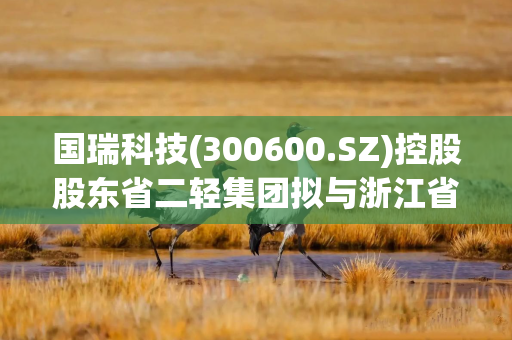 国瑞科技(300600.SZ)控股股东省二轻集团拟与浙江省机电集团进行战略性重组