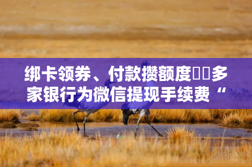 绑卡领券、付款攒额度⋯⋯多家银行为微信提现手续费“买单”，有机构全年可免费提现30万元