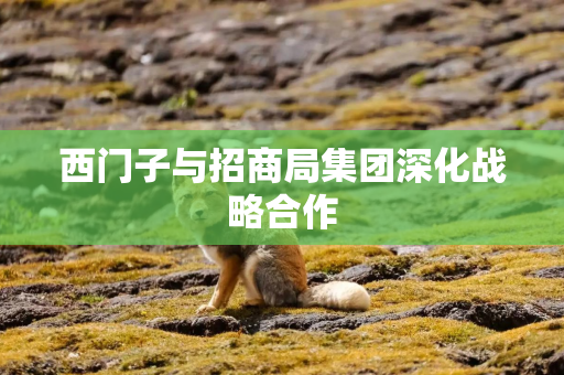 西门子与招商局集团深化战略合作