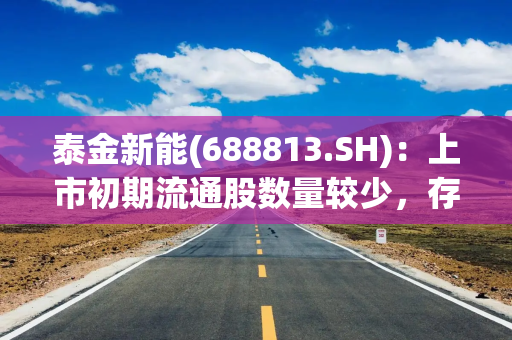 泰金新能(688813.SH)：上市初期流通股数量较少，存在流动性不足的风险