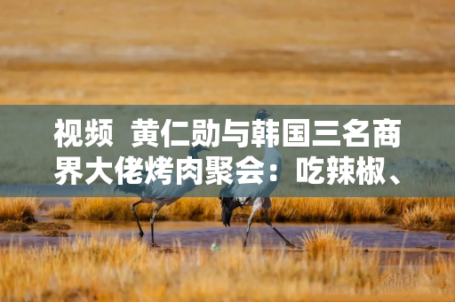 视频  黄仁勋与韩国三名商界大佬烤肉聚会：吃辣椒、学紫苏叶包肉 重温炸鸡配啤酒