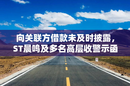 向关联方借款未及时披露，ST晨鸣及多名高层收警示函