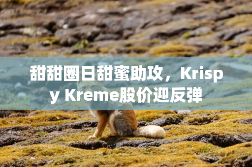 甜甜圈日甜蜜助攻，Krispy Kreme股价迎反弹