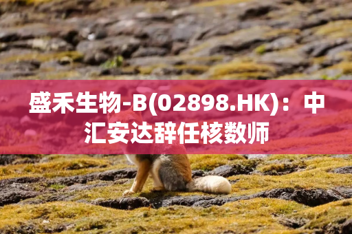 盛禾生物-B(02898.HK)：中汇安达辞任核数师
