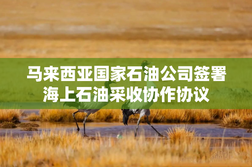 马来西亚国家石油公司签署海上石油采收协作协议