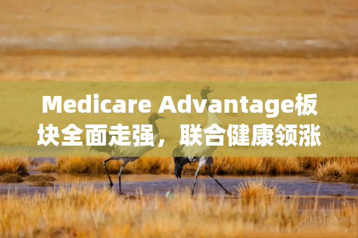 Medicare Advantage板块全面走强，联合健康领涨同业