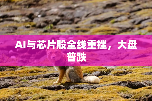 AI与芯片股全线重挫，大盘普跌