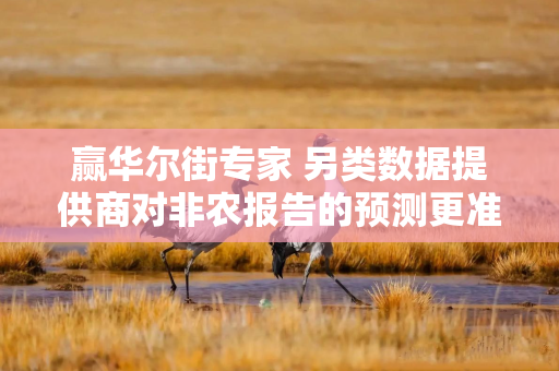 赢华尔街专家 另类数据提供商对非农报告的预测更准确
