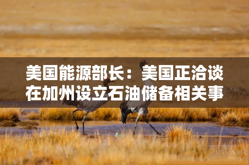 美国能源部长：美国正洽谈在加州设立石油储备相关事宜