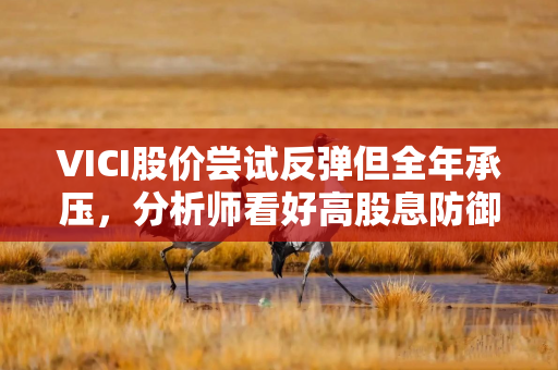 VICI股价尝试反弹但全年承压，分析师看好高股息防御价值