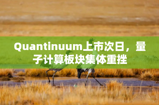 Quantinuum上市次日，量子计算板块集体重挫
