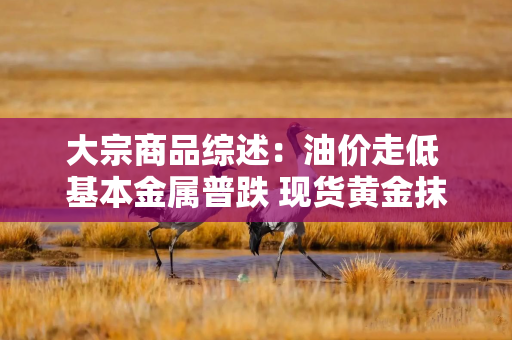 大宗商品综述：油价走低 基本金属普跌 现货黄金抹去今年涨幅
