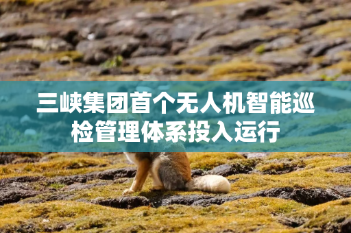 三峡集团首个无人机智能巡检管理体系投入运行