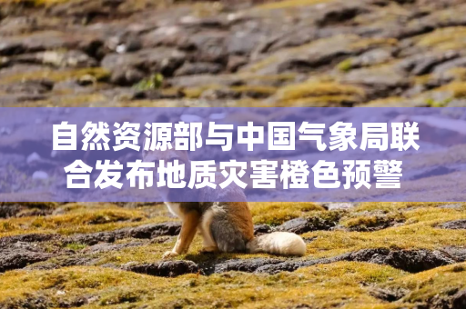 自然资源部与中国气象局联合发布地质灾害橙色预警