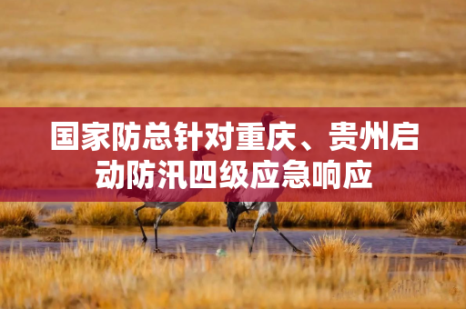 国家防总针对重庆、贵州启动防汛四级应急响应