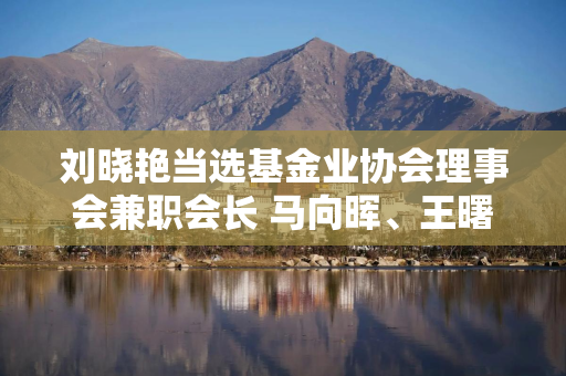 刘晓艳当选基金业协会理事会兼职会长 马向晖、王曙光、李俊杰、张志洲、赵军、黄杰、雷军等当选兼职副会长
