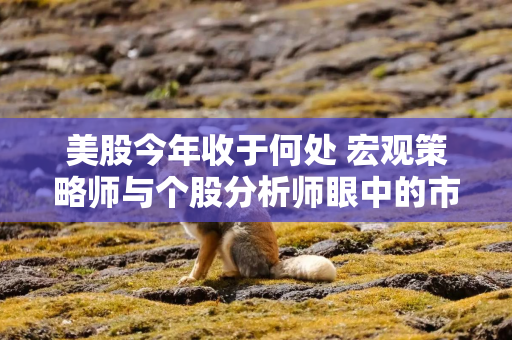 美股今年收于何处 宏观策略师与个股分析师眼中的市场截然不同
