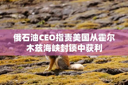 俄石油CEO指责美国从霍尔木兹海峡封锁中获利