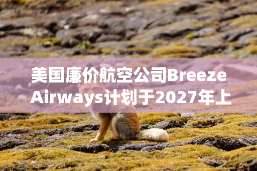 美国廉价航空公司Breeze Airways计划于2027年上市