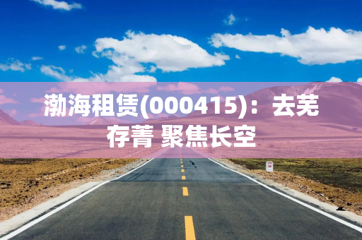 渤海租赁(000415)：去芜存菁 聚焦长空