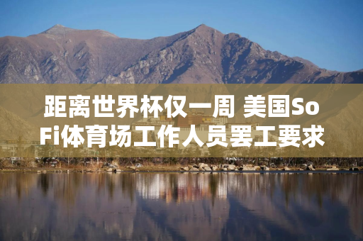 距离世界杯仅一周 美国SoFi体育场工作人员罢工要求加薪