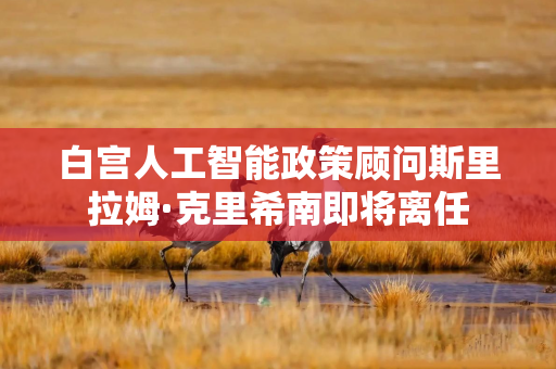 白宫人工智能政策顾问斯里拉姆·克里希南即将离任