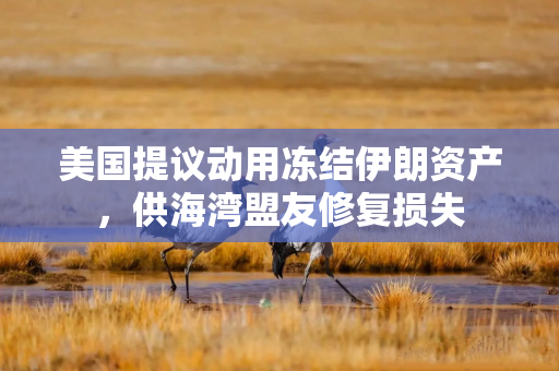 美国提议动用冻结伊朗资产，供海湾盟友修复损失