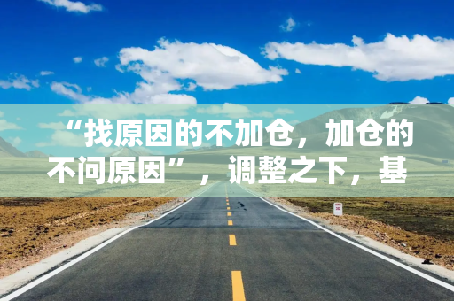“找原因的不加仓，加仓的不问原因”，调整之下，基金投资“众生相”