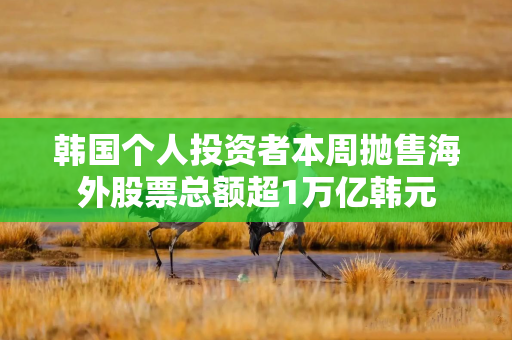 韩国个人投资者本周抛售海外股票总额超1万亿韩元