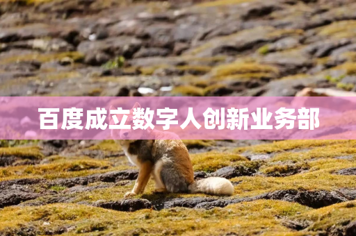 百度成立数字人创新业务部