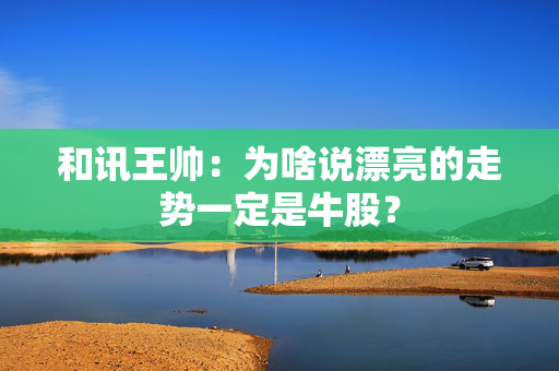 和讯王帅：为啥说漂亮的走势一定是牛股？