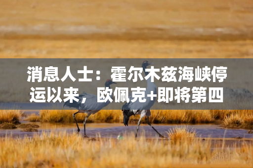消息人士：霍尔木兹海峡停运以来，欧佩克+即将第四次上调石油产量配额