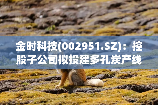 金时科技(002951.SZ)：控股子公司拟投建多孔炭产线项目