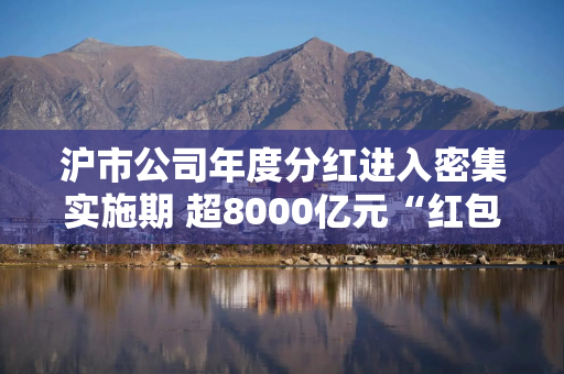 沪市公司年度分红进入密集实施期 超8000亿元“红包”待发放！