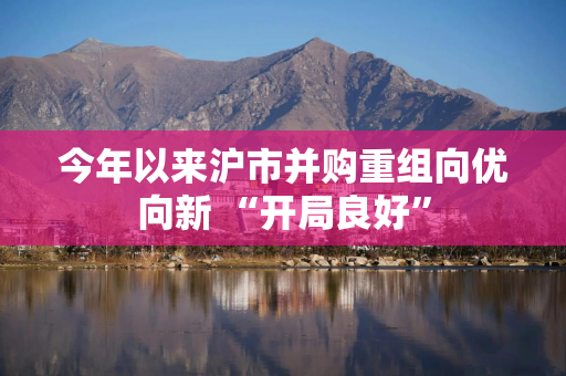 今年以来沪市并购重组向优向新 “开局良好”