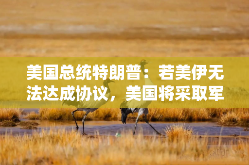 美国总统特朗普：若美伊无法达成协议，美国将采取军事行动