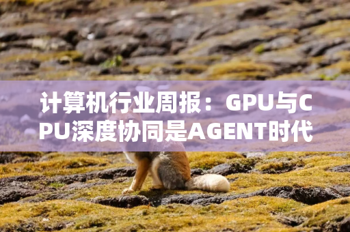 计算机行业周报：GPU与CPU深度协同是AGENT时代重大趋势