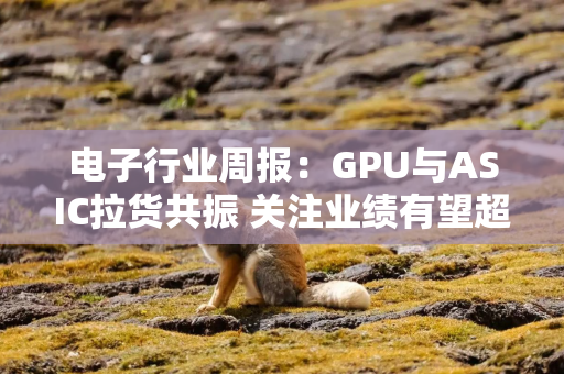 电子行业周报：GPU与ASIC拉货共振 关注业绩有望超预期方向