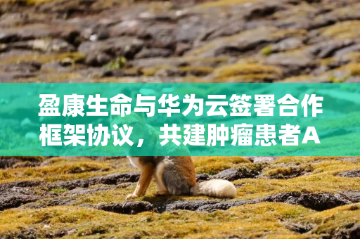 盈康生命与华为云签署合作框架协议，共建肿瘤患者AI全周期管理平台
