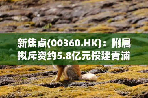 新焦点(00360.HK)：附属拟斥资约5.8亿元投建青浦智能制造基地