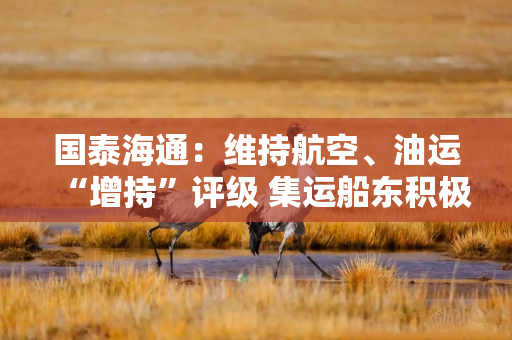 国泰海通：维持航空、油运“增持”评级 集运船东积极宣涨