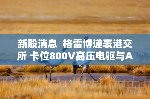 新股消息  格雷博递表港交所 卡位800V高压电驱与AI算力供电赛道