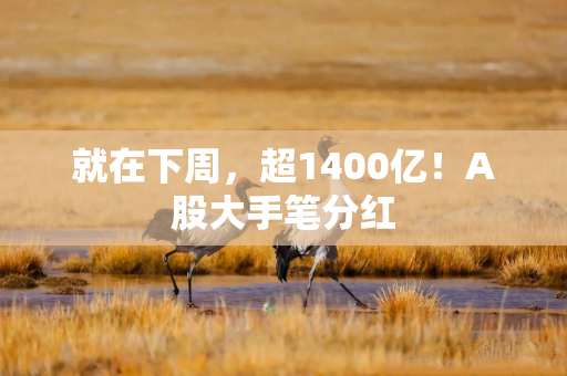 就在下周，超1400亿！A股大手笔分红