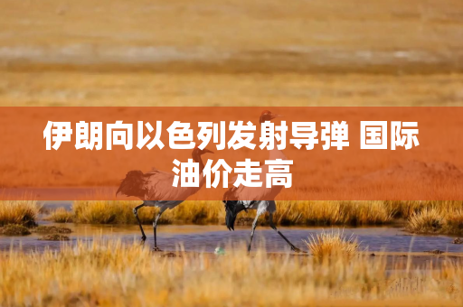 伊朗向以色列发射导弹 国际油价走高