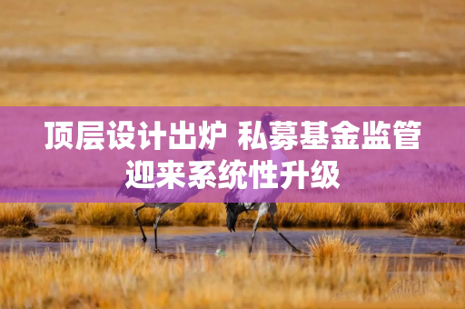 顶层设计出炉 私募基金监管迎来系统性升级