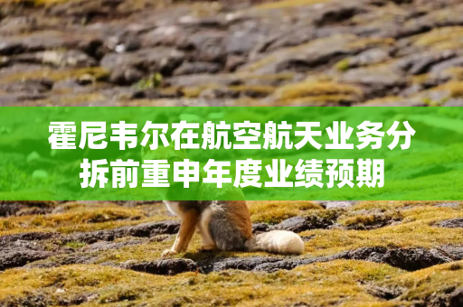 霍尼韦尔在航空航天业务分拆前重申年度业绩预期